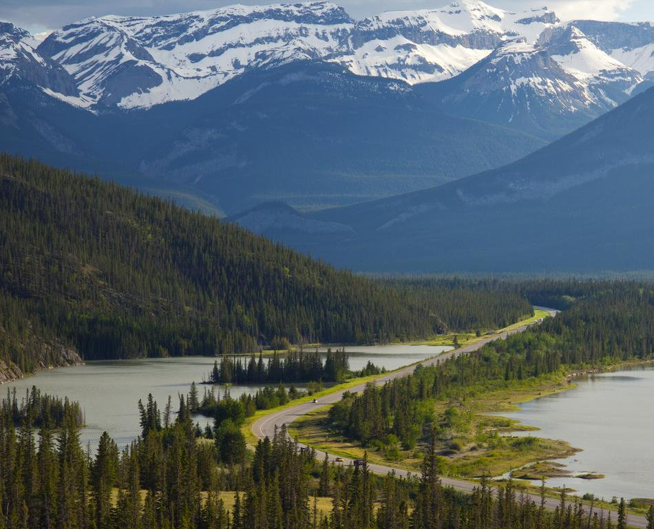 Gallery image of this property